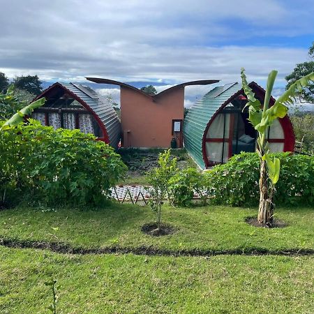 迦太基 Glamping Campo Alegre酒店 外观 照片