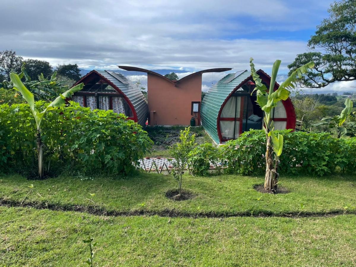 迦太基 Glamping Campo Alegre酒店 外观 照片
