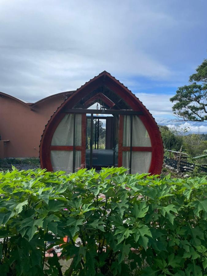 迦太基 Glamping Campo Alegre酒店 外观 照片